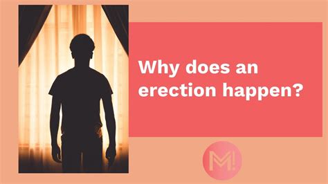 Penis Getting Erect Porn Videos .